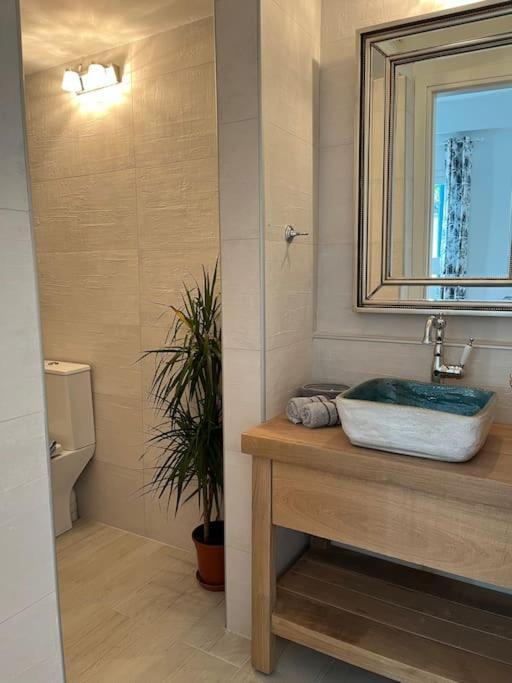 Reginas Studios & Apartments- Blue Flower Apartment